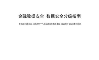 《金融数据安全 数据安全分级指南(JR/T 0197—2020)》-未摘录